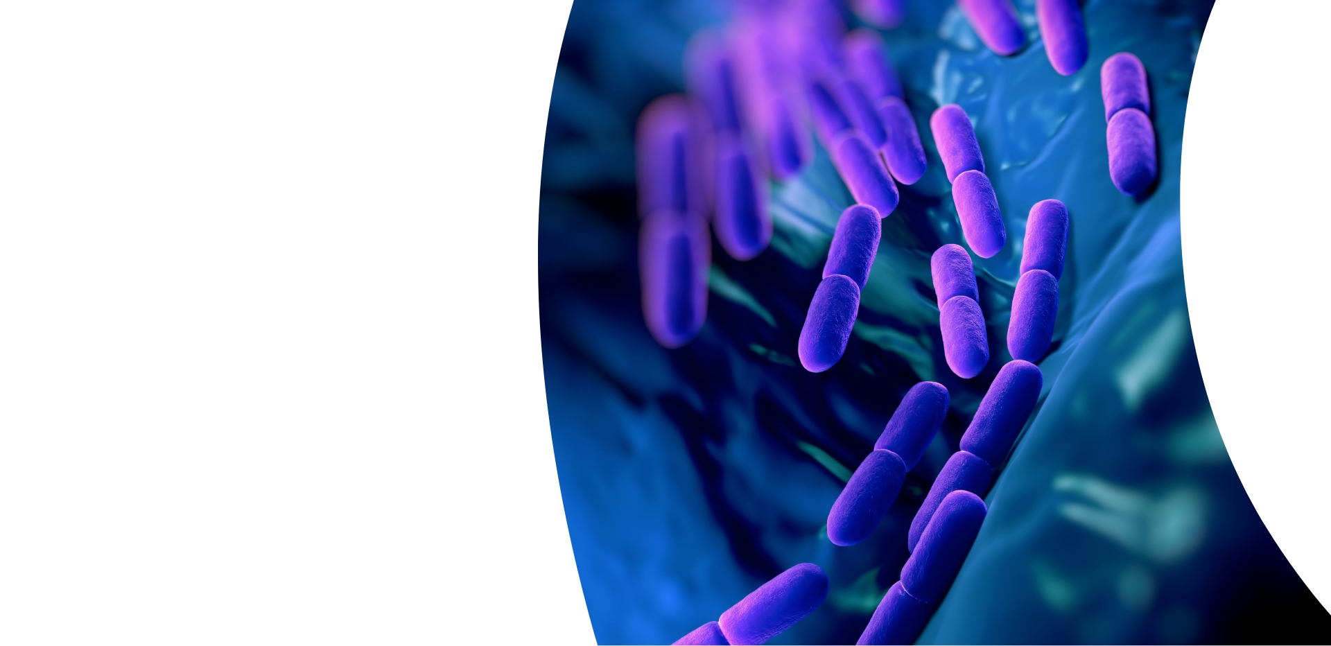 Probiotics